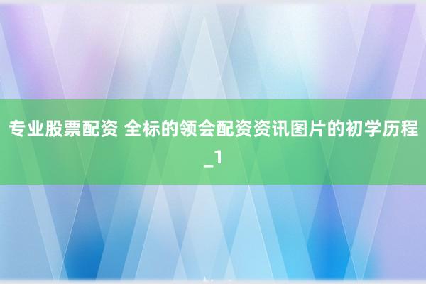 专业股票配资 全标的领会配资资讯图片的初学历程_1