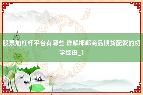 股票加杠杆平台有哪些 详解邯郸商品期货配资的初学经由_1